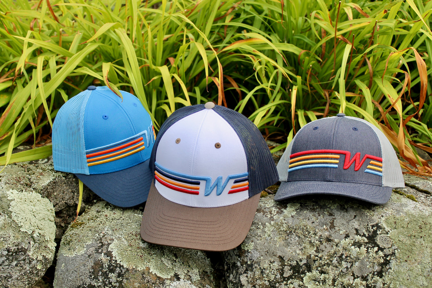 LIDS EVERYONE LOVES